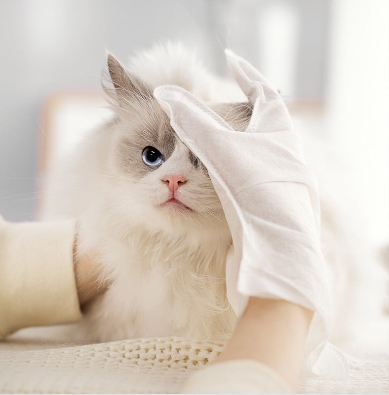 Paper Disposable Gloves™