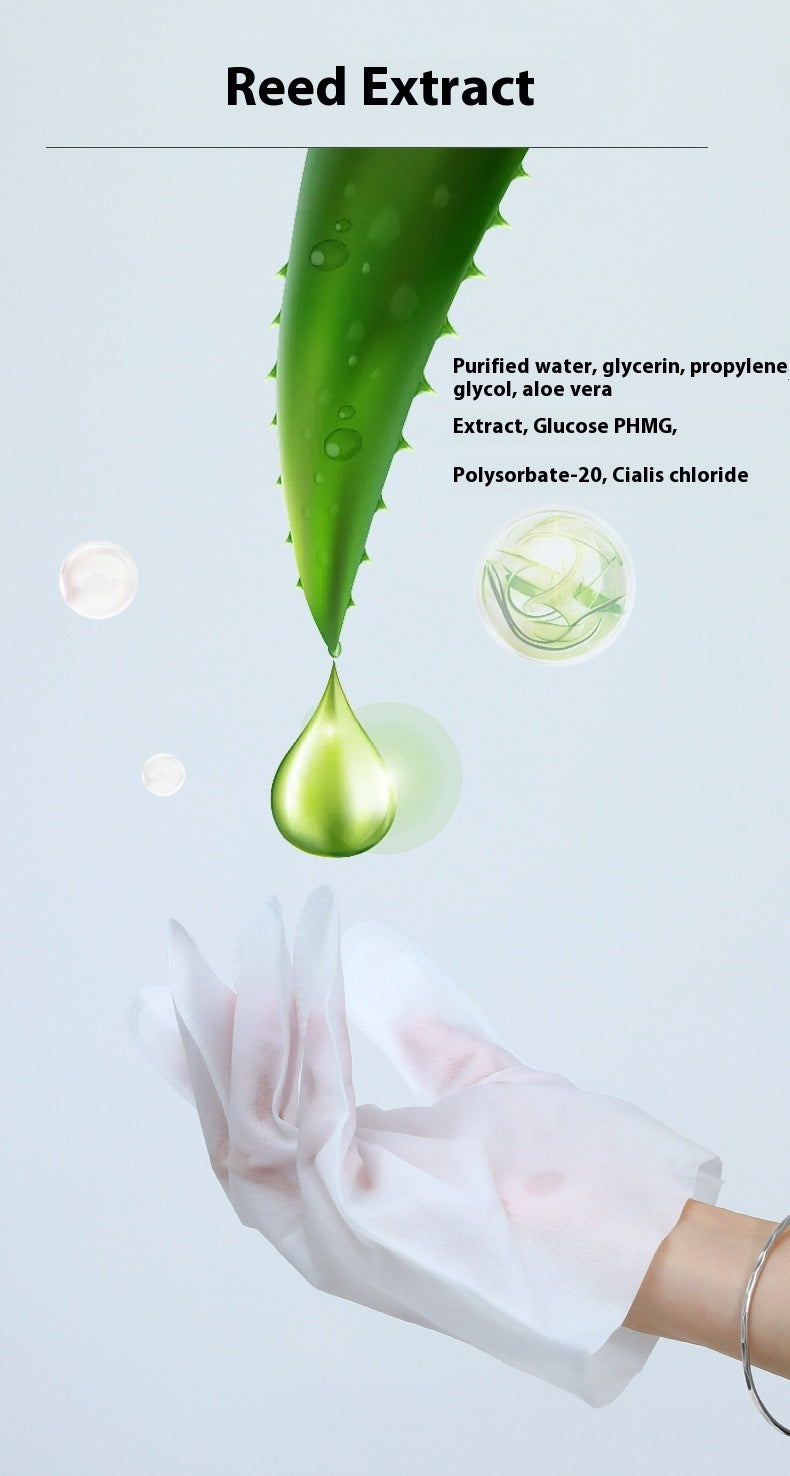 Pet Disposable Gloves